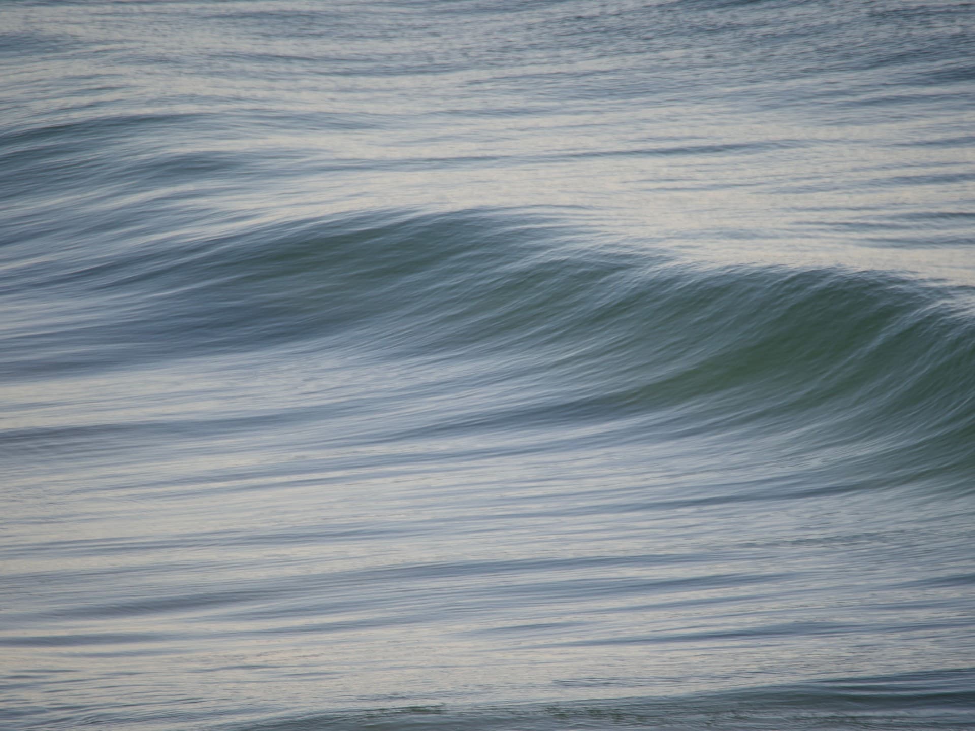 Background Reconhecimentos